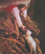 Jesus with the lost lamb Images?q=tbn:ANd9GcQeBpylHsjIagJQWDIhCwr5Ep2wJSwZG1EYcywepBq5dAuKwih51g