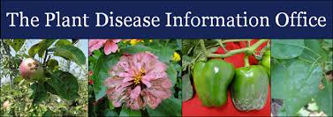 Image result for plant pathology books pictures free
