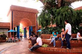 Image result for Universidad Fernando Noveno
