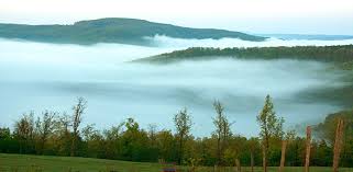 Image result for pictures of foggy hollows