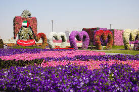 الحدائق في دبي Images?q=tbn:ANd9GcQfiHXGwHBLApthbamjzX8yRTYXburJ9wxP3KMRLB0dm4fvsbkx