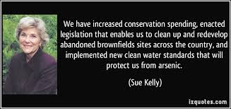 Sue Kelly Quotes. QuotesGram via Relatably.com