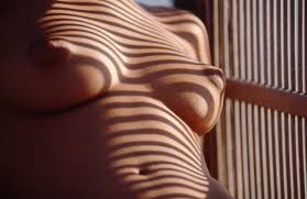 Image result for womans breasts