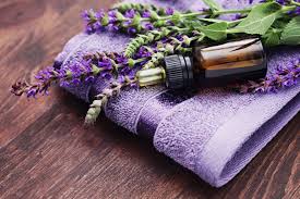 Image result for lavender oil