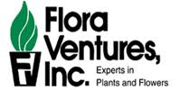 Flora Ventures Llc About Flowers : Chrysanthemum Newmarket, NH ...