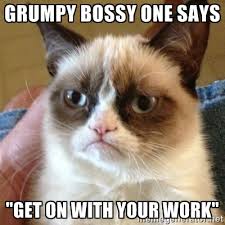 Grumpy bossy one says &quot;Get on with your work&quot; - Grumpy Cat | Meme ... via Relatably.com