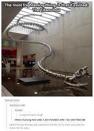 The most frightening thing is that it existed: The Titanoboa ... via Relatably.com