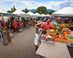 Image of Local Harvest Garden Grove Farmers Market
