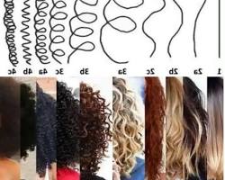 صورة نوع الشعر المجعد