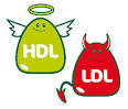 Quaposest-ce que le cholestrol HDL? - Flora tiv