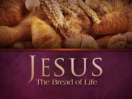 Image result for bread of god