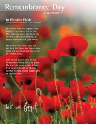 Image result for poppy remembrance day