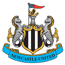Image result for Newcastle 2 Cardiff 1