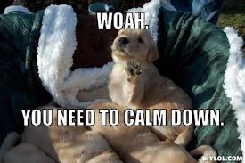 Woah. You need to calm down. | Funny Memes | Pinterest | Calm Down ... via Relatably.com