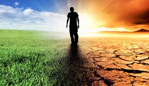 Image result for climate change