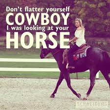 Image result for horse quotes