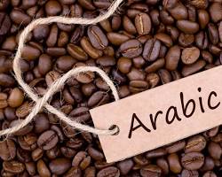 Hình ảnh về Cà phê Arabica