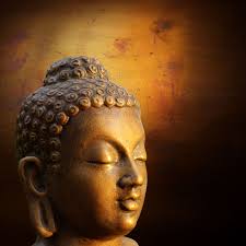 Image result for buddha