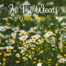 In The Weeds With Anne