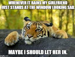 Terrible Tiger Memes: They&#39;re Grrrrreat! - Album on Imgur via Relatably.com