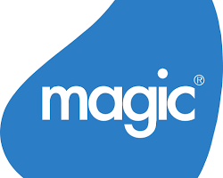 Image of Magic Software logo