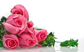 Image result for love flowers pictures