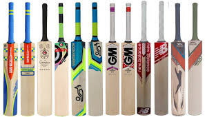 Image result for cricket bat
