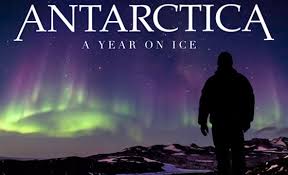 Image result for antarctica a year on ice