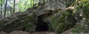Bildergebnis für höhle im wald