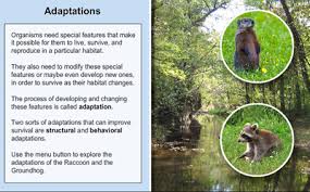 Image result for organisms and their environment