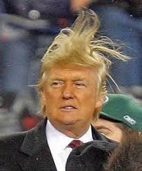 Image result for trump hair pictures