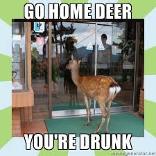 Go home deer, you&#39;re drunk. | funny stuff | Pinterest | Drunk ... via Relatably.com