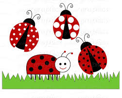 Image result for free clip art ladybug