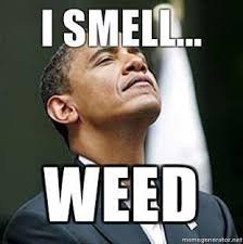 Top 10 Obama Smoke Marijuana Weed Memes 2015 - Weed Memes via Relatably.com