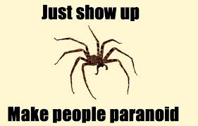 Spider Meme - Sharenator via Relatably.com