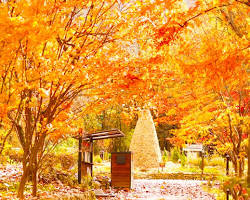 대전 상소동산림욕장 풍경, AI로 생성