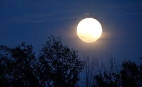 Image result for full moon