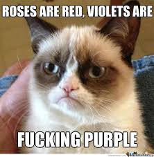 Violet Memes. Best Collection of Funny Violet Pictures via Relatably.com