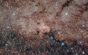 Swarms of Black Holes at the Milky Way's Heart? Maybe Not ...
