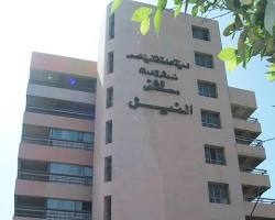 صورة مستشفى النيل الدولي