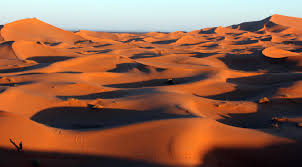 Resultado de imagen para desierto de sahara