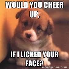 Would you cheer up, if i licked your face? - cute puppy | Meme ... via Relatably.com