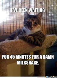 Impatient Cat by 76kevon - Meme Center via Relatably.com