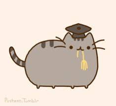 Image result for picture of kitten with graduation cap