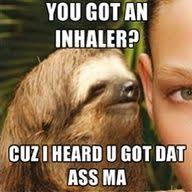 Sloth Memes on Pinterest | Lol, So Funny and Laughing via Relatably.com