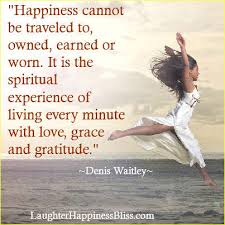 Denis Waitley Quotes Happiness. QuotesGram via Relatably.com