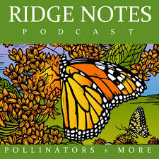 Ridge Notes
