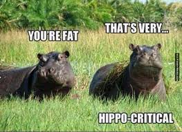 Animal memes - That&#39;s very Hippo-Critical | FunnyMeme.com via Relatably.com