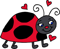 Image result for free clipart ladybug