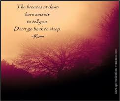 Image result for rumi don't go back to sleep